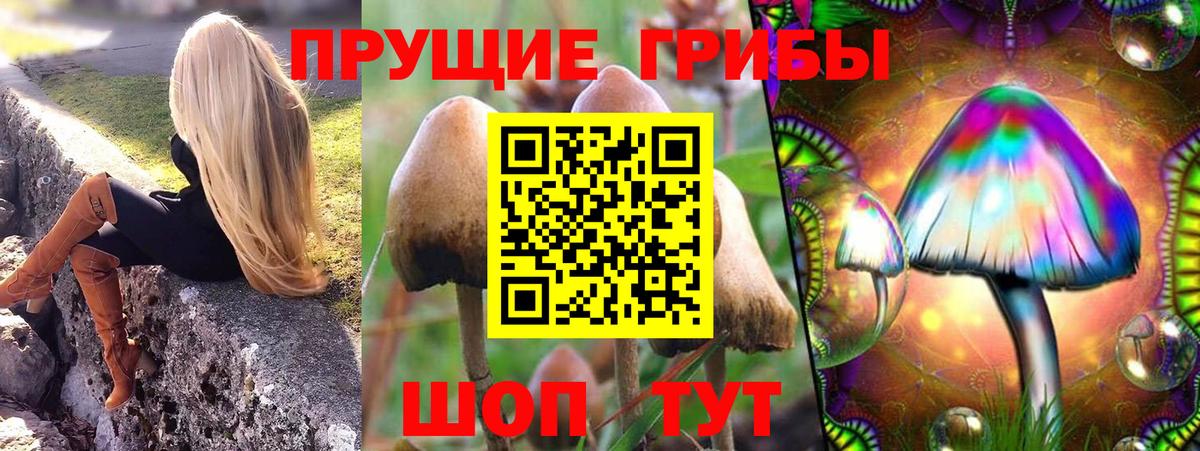 Южноуральск  Псилоцибиновые грибы Psilocybe  Вход с VPN 