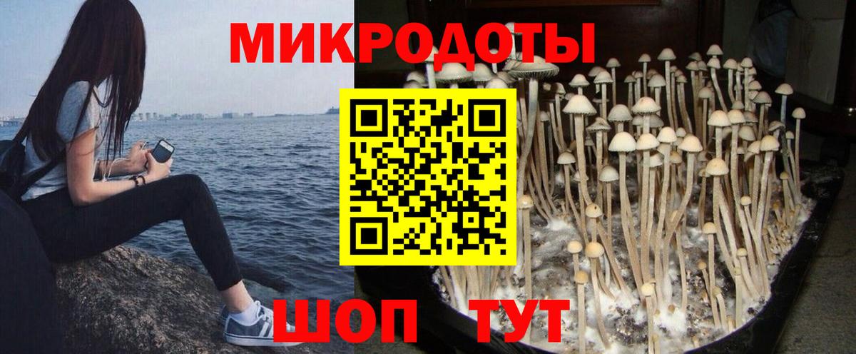 Галлюциногенные грибы Cubensis Южноуральск